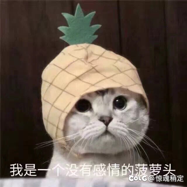 井盖们集合讨论下平衡后的vp和装扮特化贴膜1