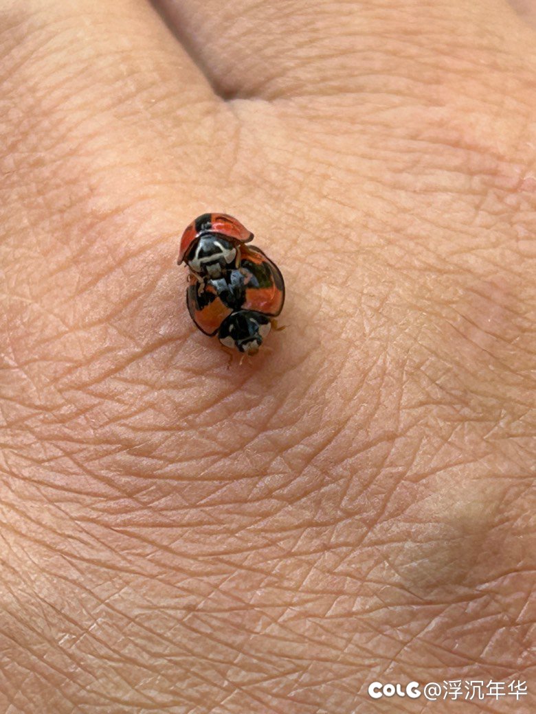 哎呦～你干嘛！不可以偷拍哦！1