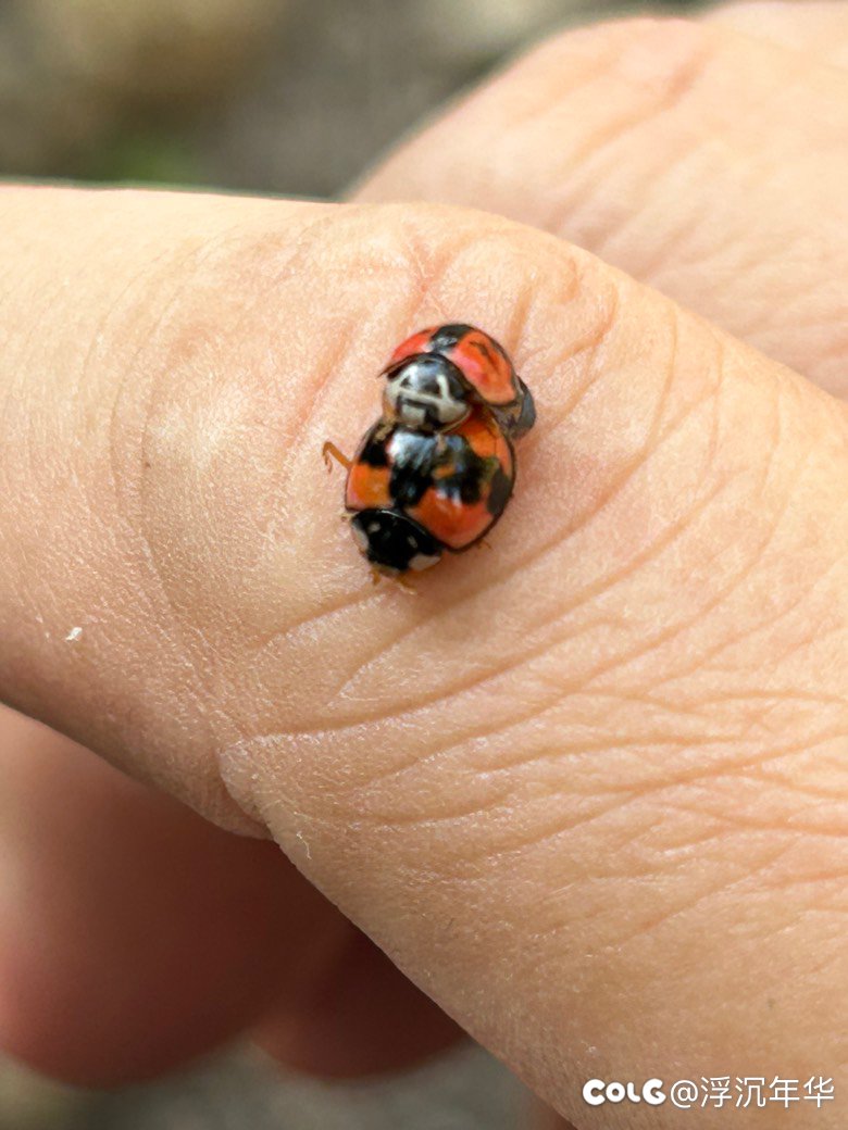 哎呦～你干嘛！不可以偷拍哦！2