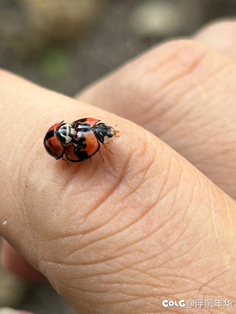 哎呦～你干嘛！不可以偷拍哦！3