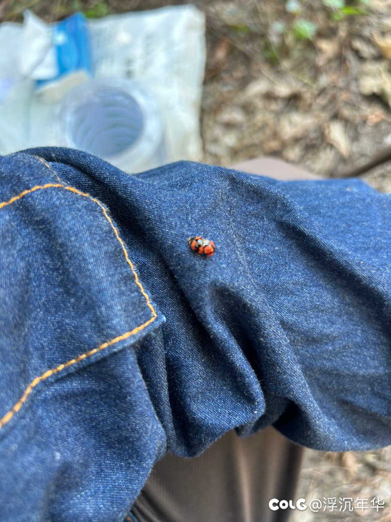 哎呦～你干嘛！不可以偷拍哦！4