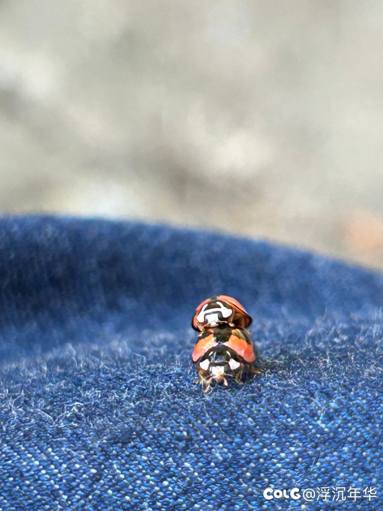 哎呦～你干嘛！不可以偷拍哦！5