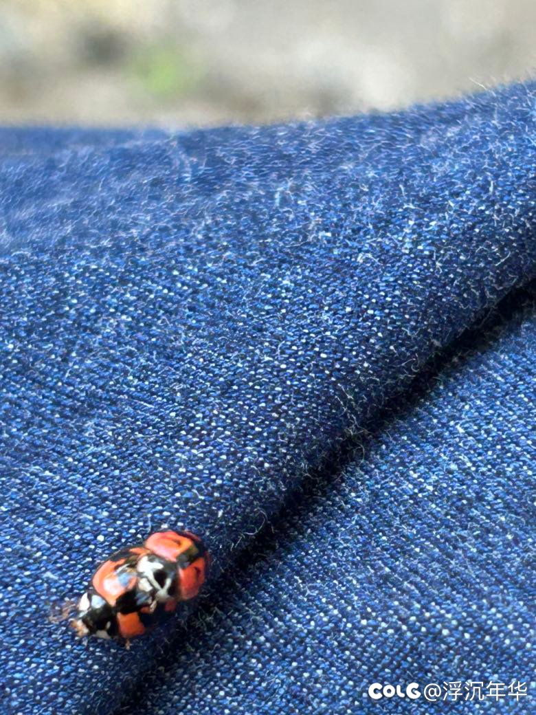 哎呦～你干嘛！不可以偷拍哦！6