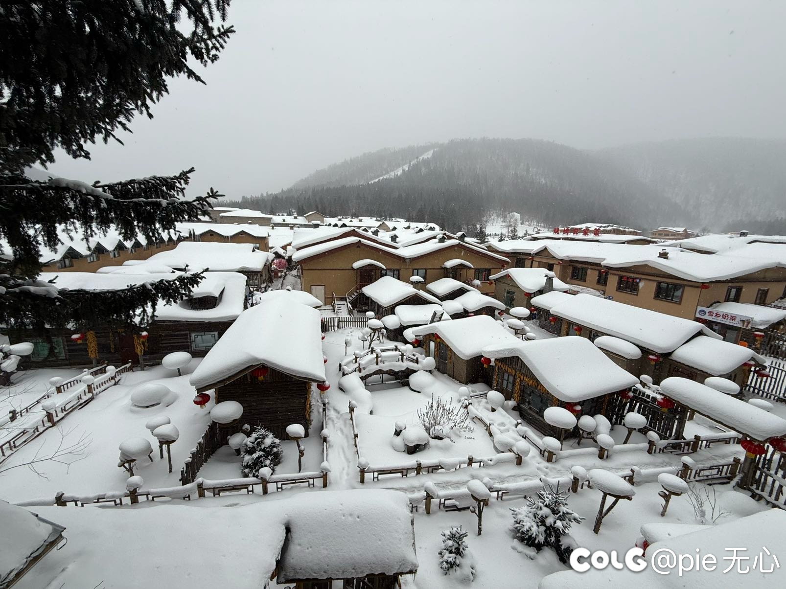 雪乡，真的好看，原本看视频以为是P的5