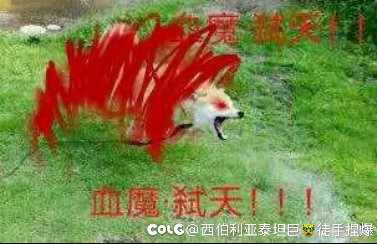 跨六大型交流群野猪收人1