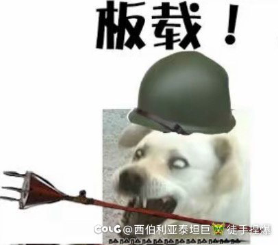 跨六大型交流群野猪收人1