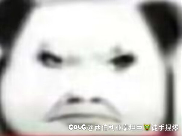 跨六大型交流群野猪收人1