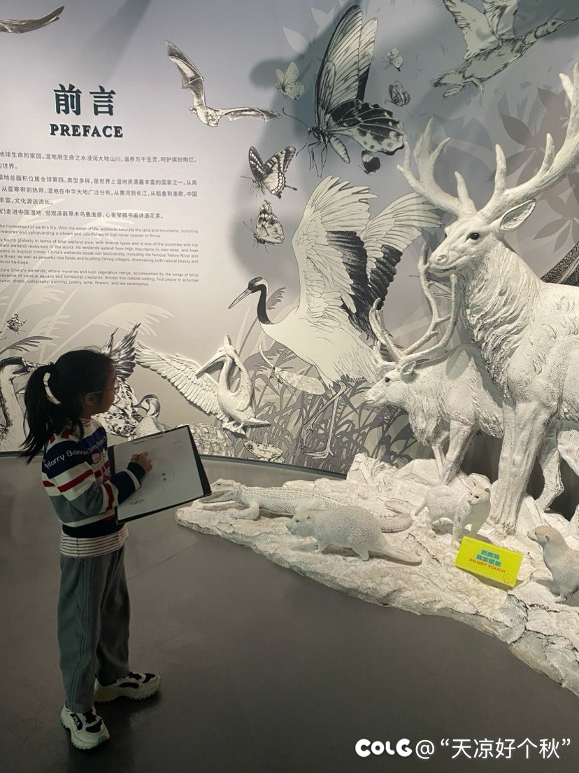 遛遛娃，次次饭2