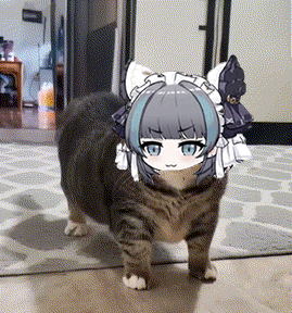 这是什么概率😎2