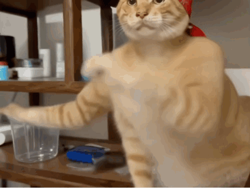 大号天命能量都3太初了，但是黄金乡还是0太初1