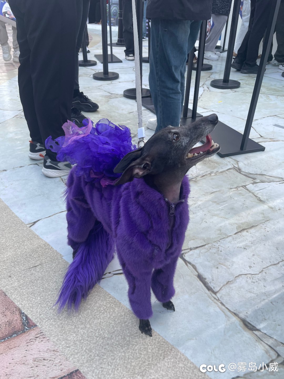 好起来了也是和世界冠军合上影了6