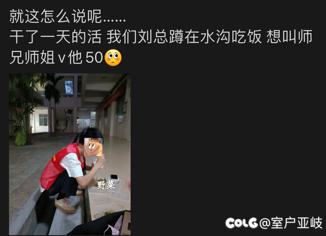 会再次成为大学生吗？1