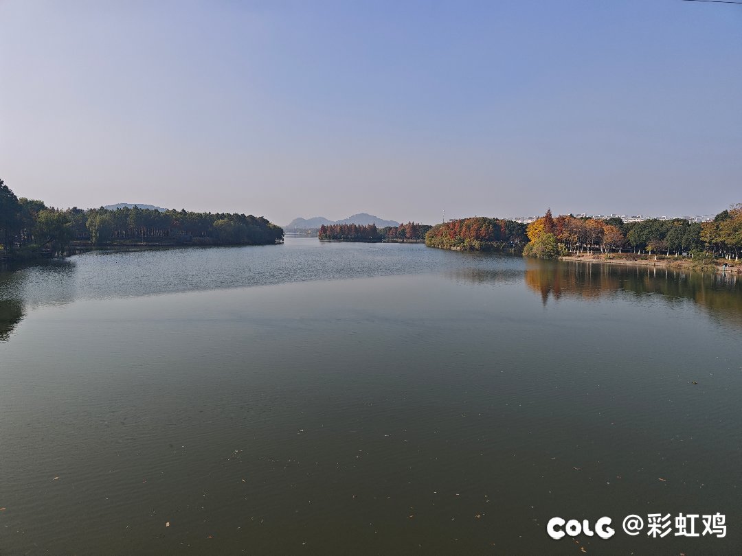 这下不得不点个赞了，支持正义制裁1