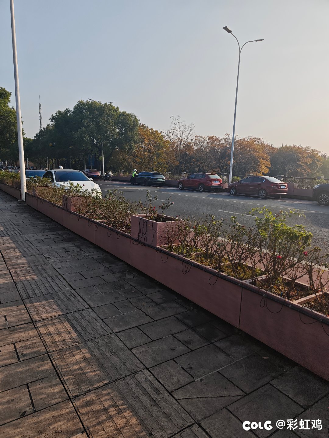 这下不得不点个赞了，支持正义制裁2