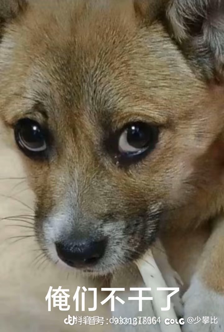 整天拿职业强度在论坛里挑拨玩家之间矛盾的，不是那啥就是那啥1