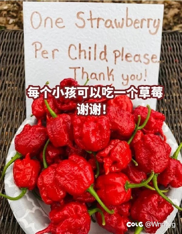 有没有人觉得这周世界BOSS比较无聊1