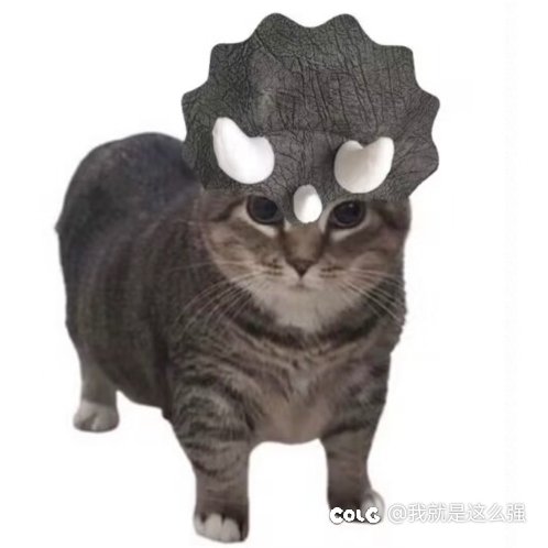 我靠靠，我就是这么强哈哈哈哈哈7