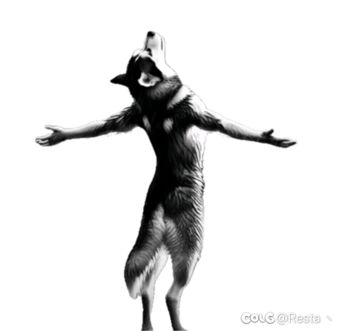 求一个无踪剑的贴图1