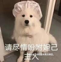 地下100层有靠谱代打吗？闲鱼80r代打能用吗1