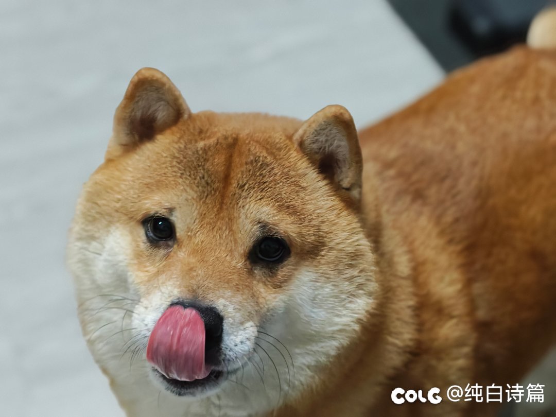 米17ultra可乐标到手！正好马上去旅游可以拍拍照4