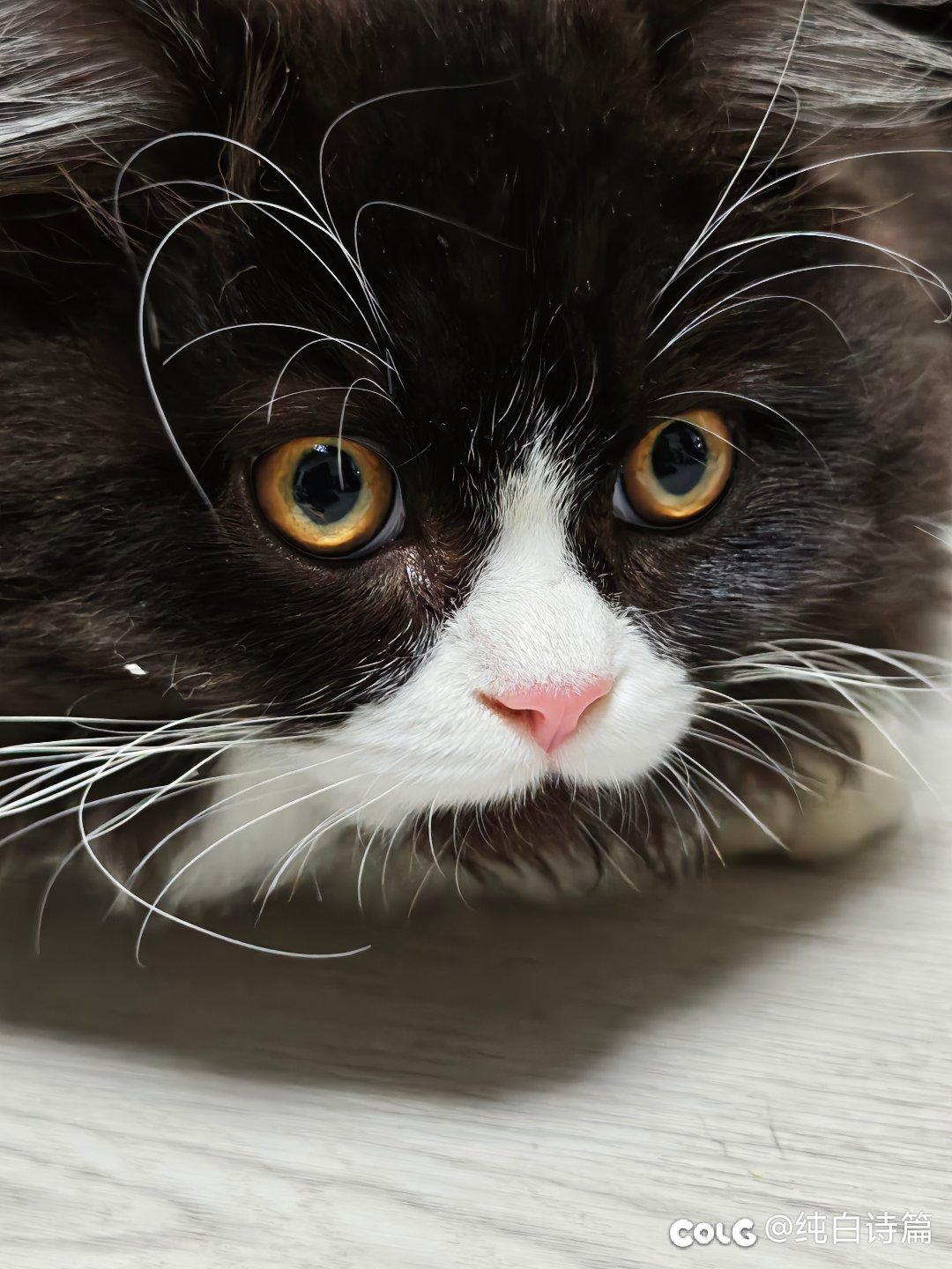 米17ultra可乐标到手！正好马上去旅游可以拍拍照5