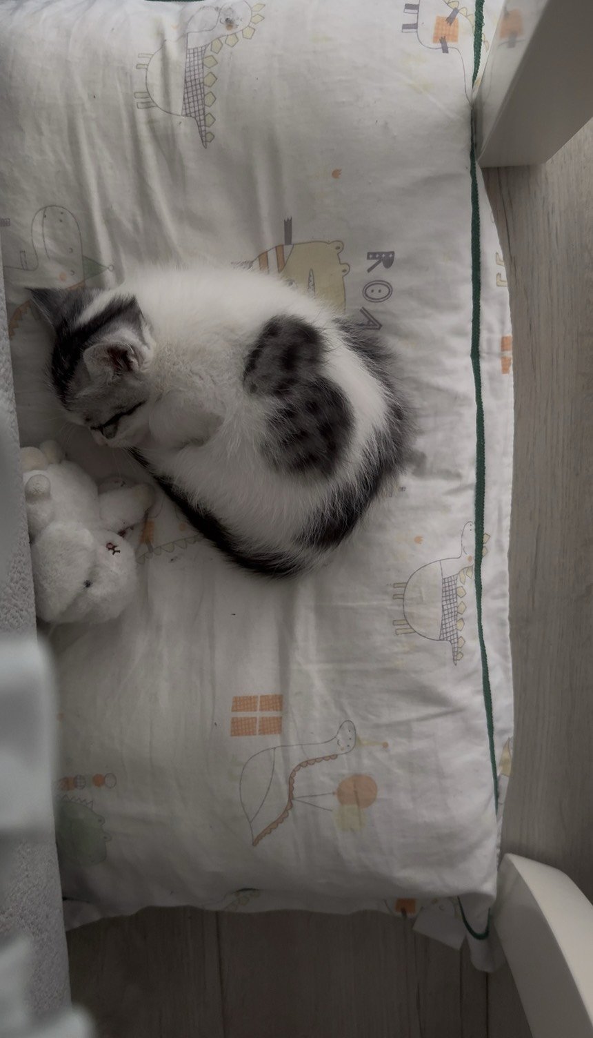 肉眼可见的长大了1