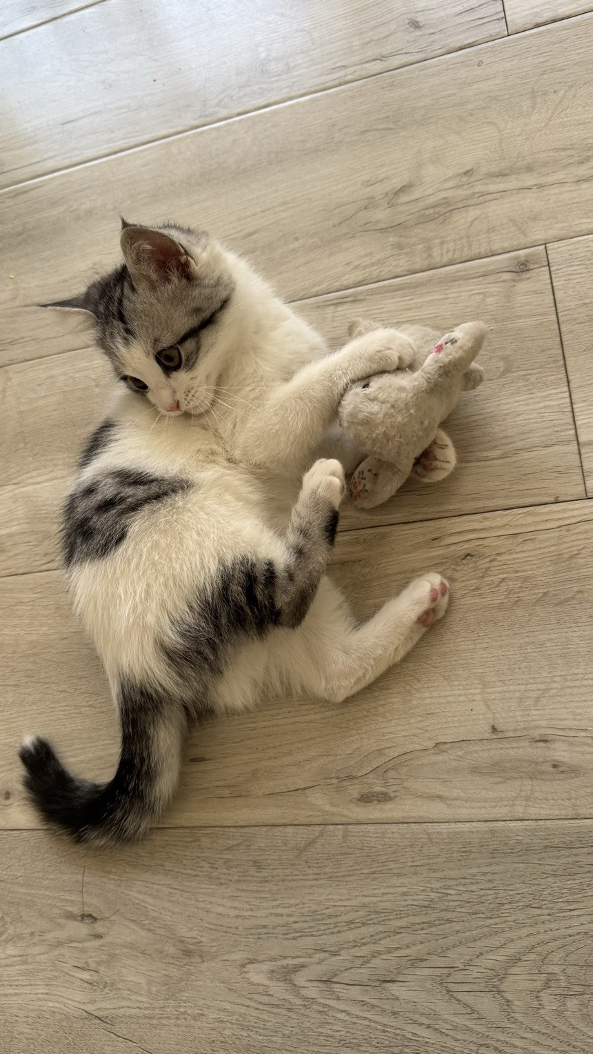 肉眼可见的长大了2