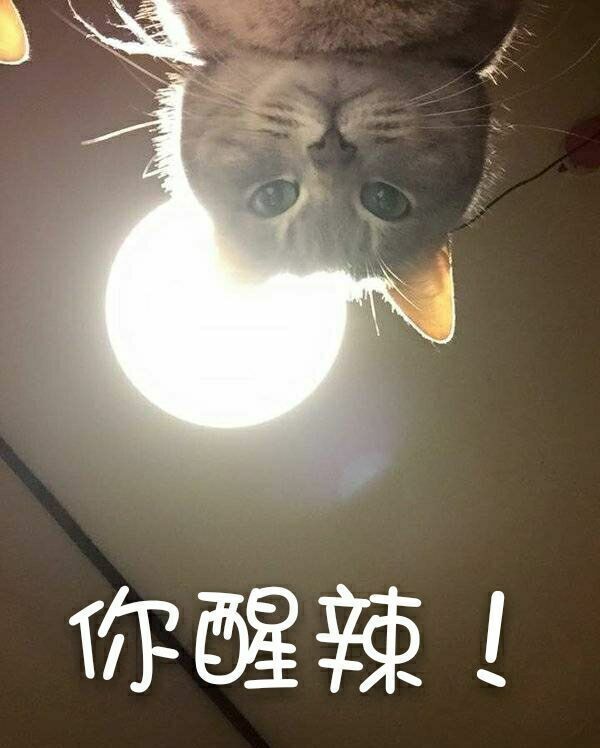 你醒辣，手术结束了1