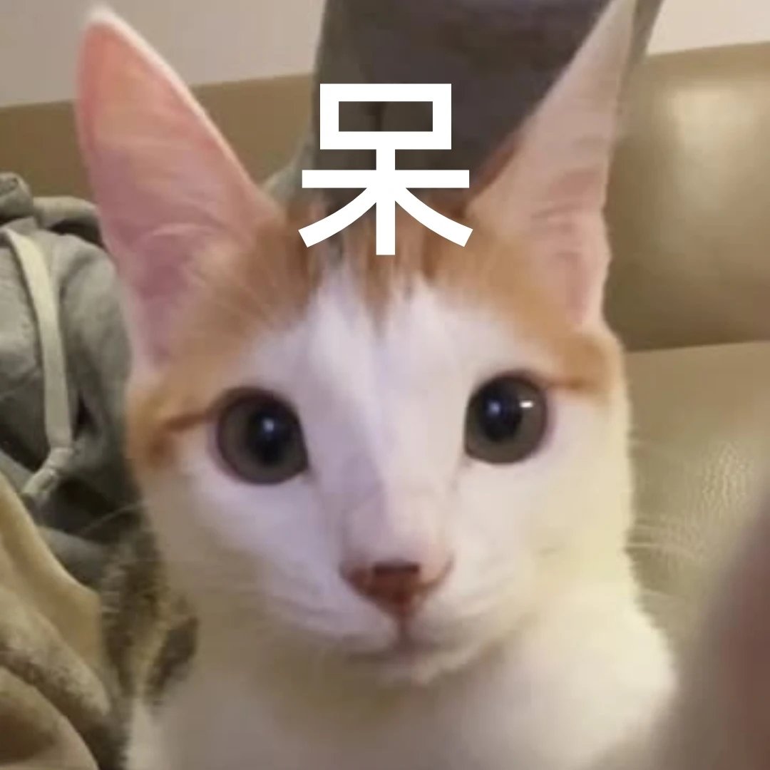 万斯让小泽穿西装是人生建议不是美式霸凌1