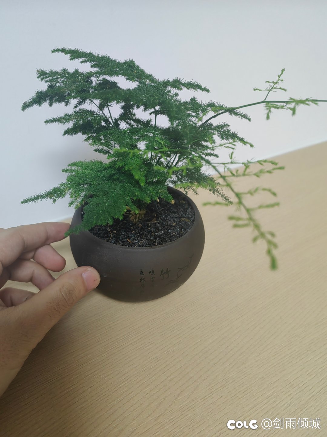 开车去爆满的停车场好烦1