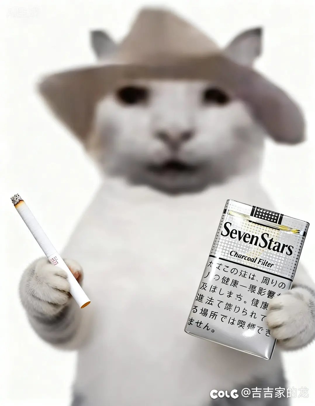 现在有没有这么一个职业1