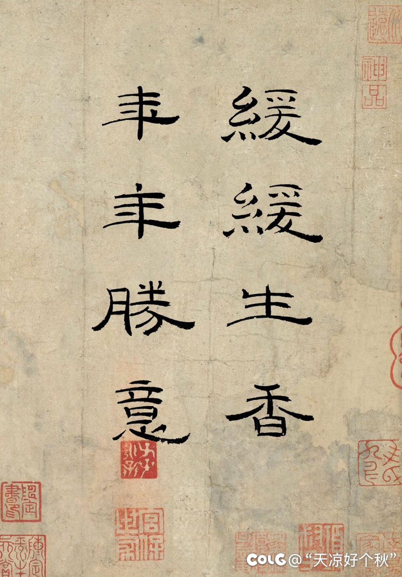 第一次带娃看电影4