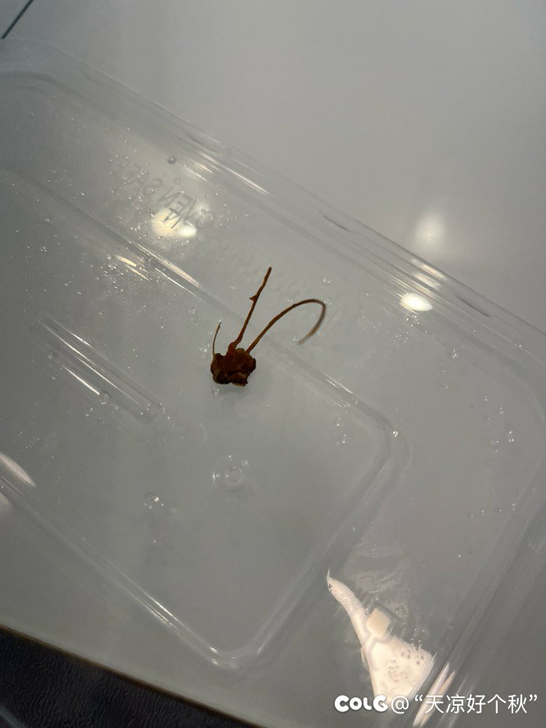 心，跳乱了节奏2