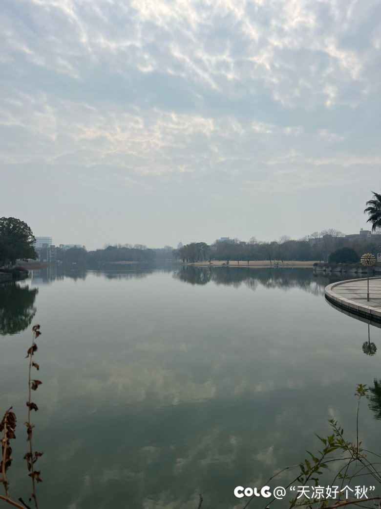 骑车15分钟，打车起步价2