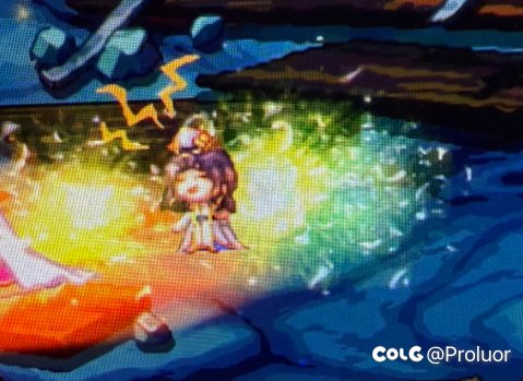 至尊宠物也太敷衍了，本来不想说的2