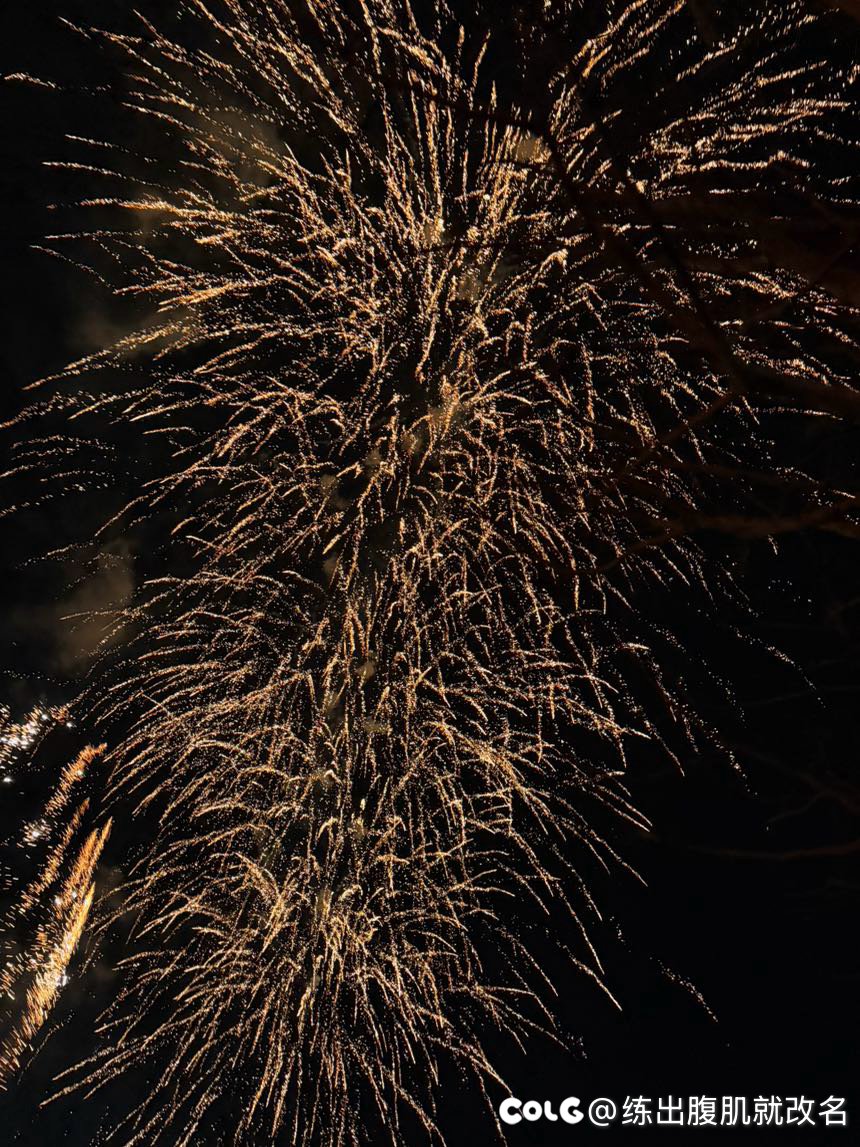 元旦休息了几天，开始新年第一练3