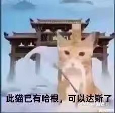 回归个寂寞啊1