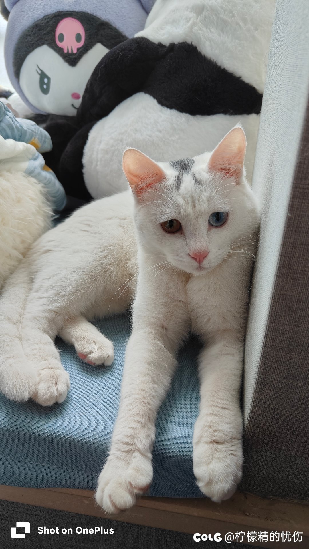 超级大虾米养老休闲小团体1