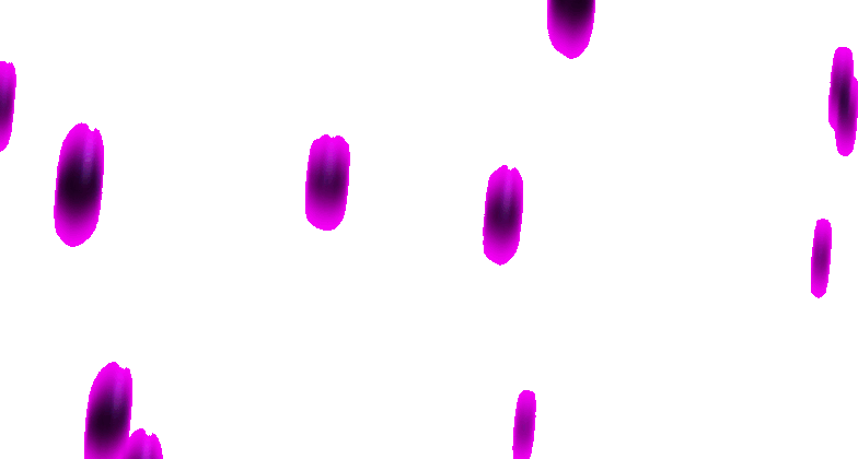 【一月征稿】(＾_＾)去掉野猪BOSS黑色雨3