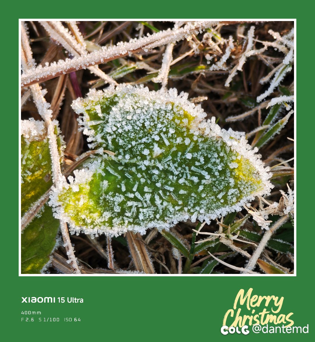 关于野猪防具升级的问题1