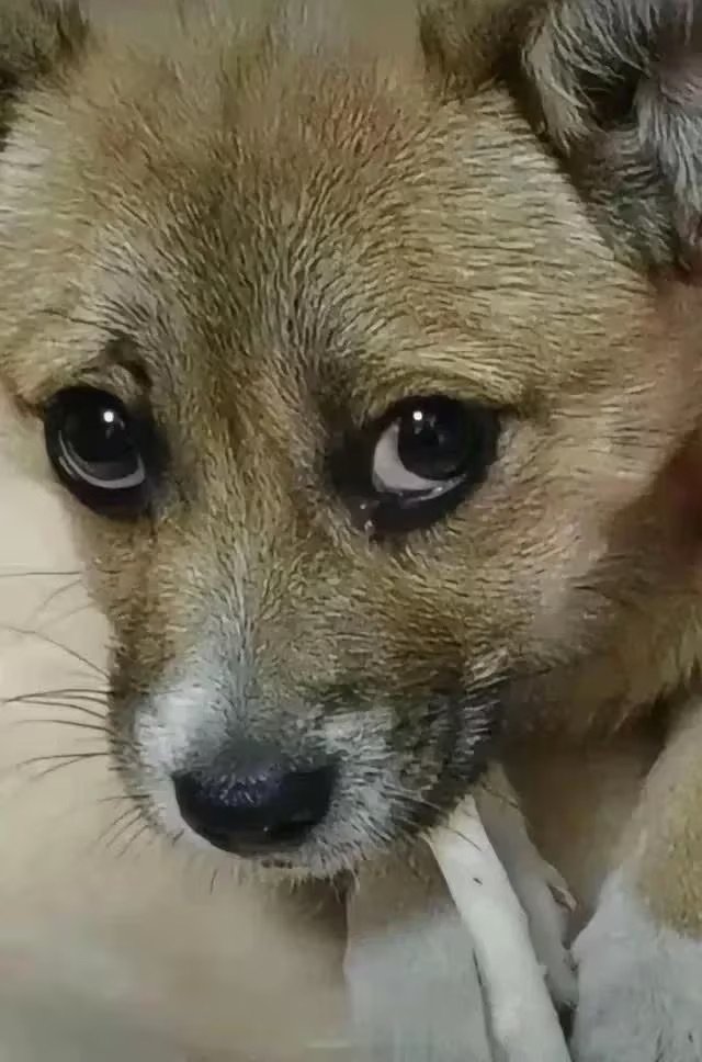 脑筋急转弯，1吨百元大钞和100吨一元钱，哪个更值钱？1