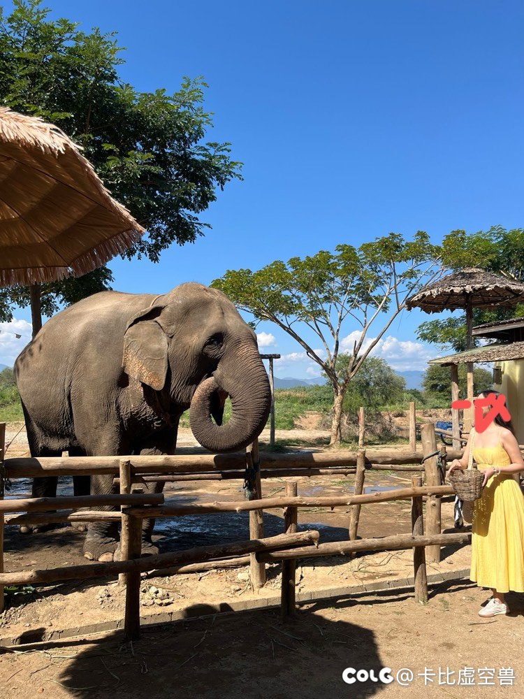 唉，天天听C友们的，买至尊不如这个不如那个的，七天花了3轮至尊。2