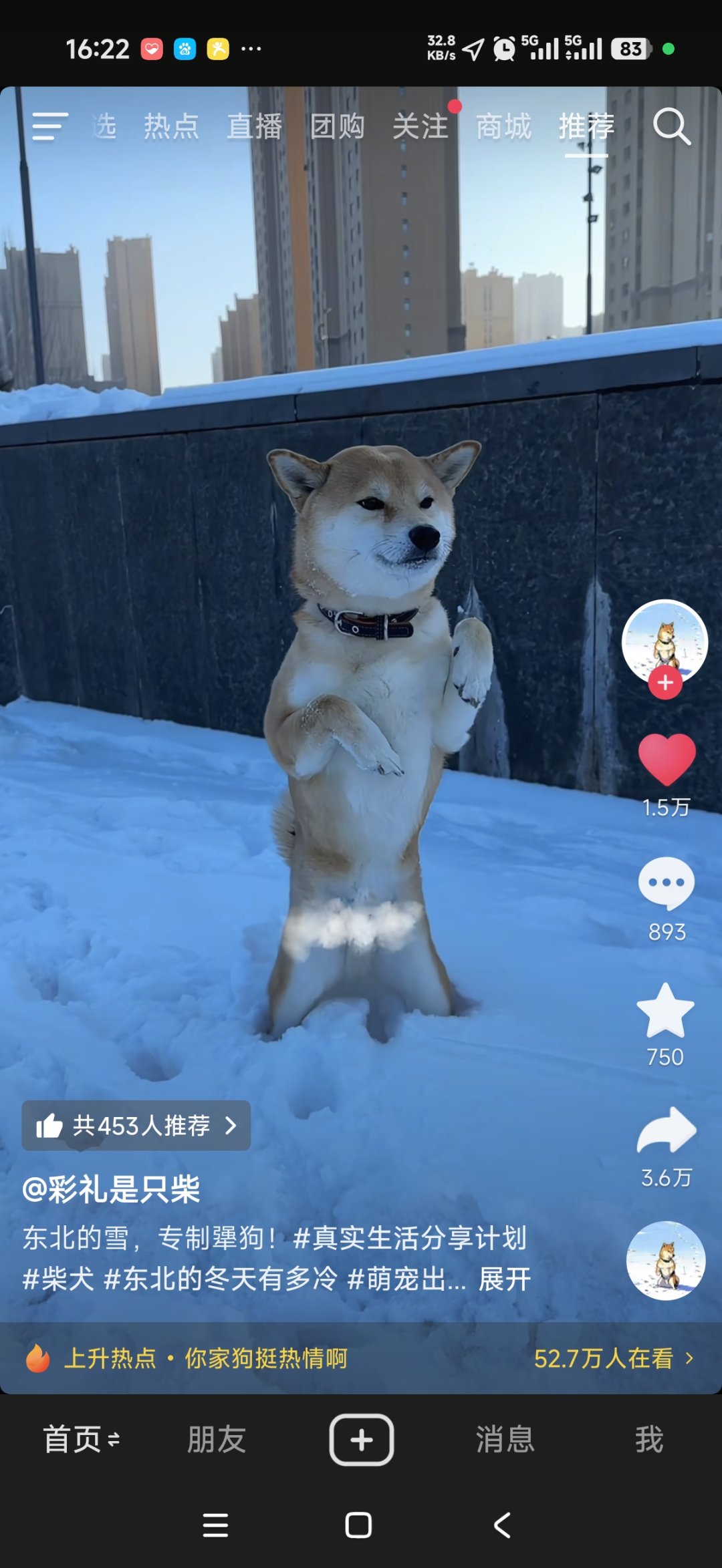 说一个和狗烫脚一样搞笑的视频1