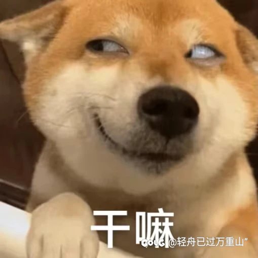 下班了 我从来不水论坛1