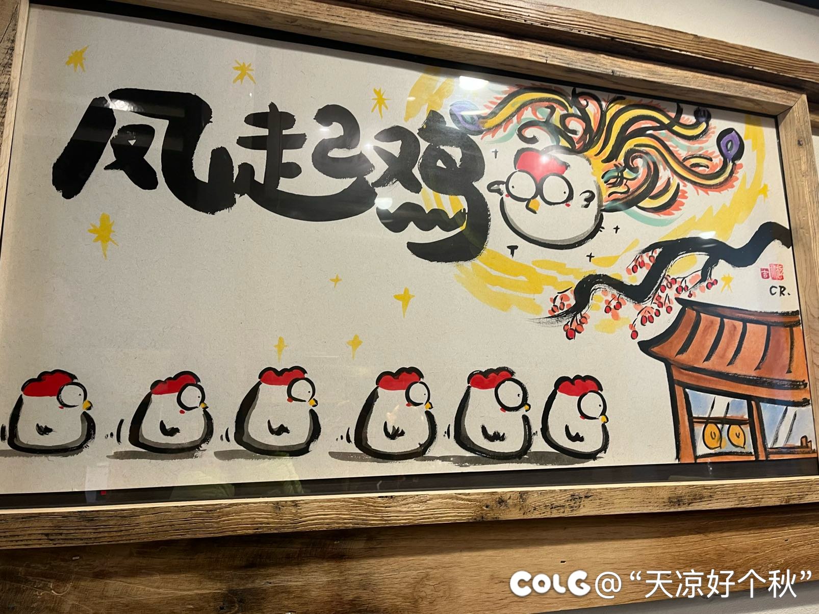 鸡有鸡味 有点小贵1