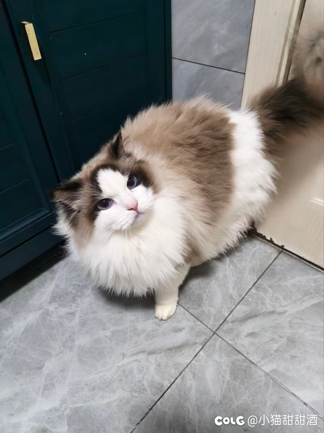 跨五二次元工会【夏梦轻舞】招新啦！3