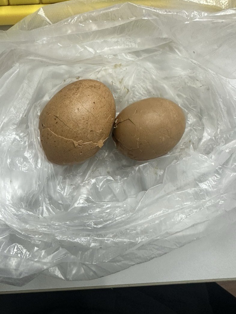 都是一样的茶叶蛋，你觉得你值2块钱吗？1