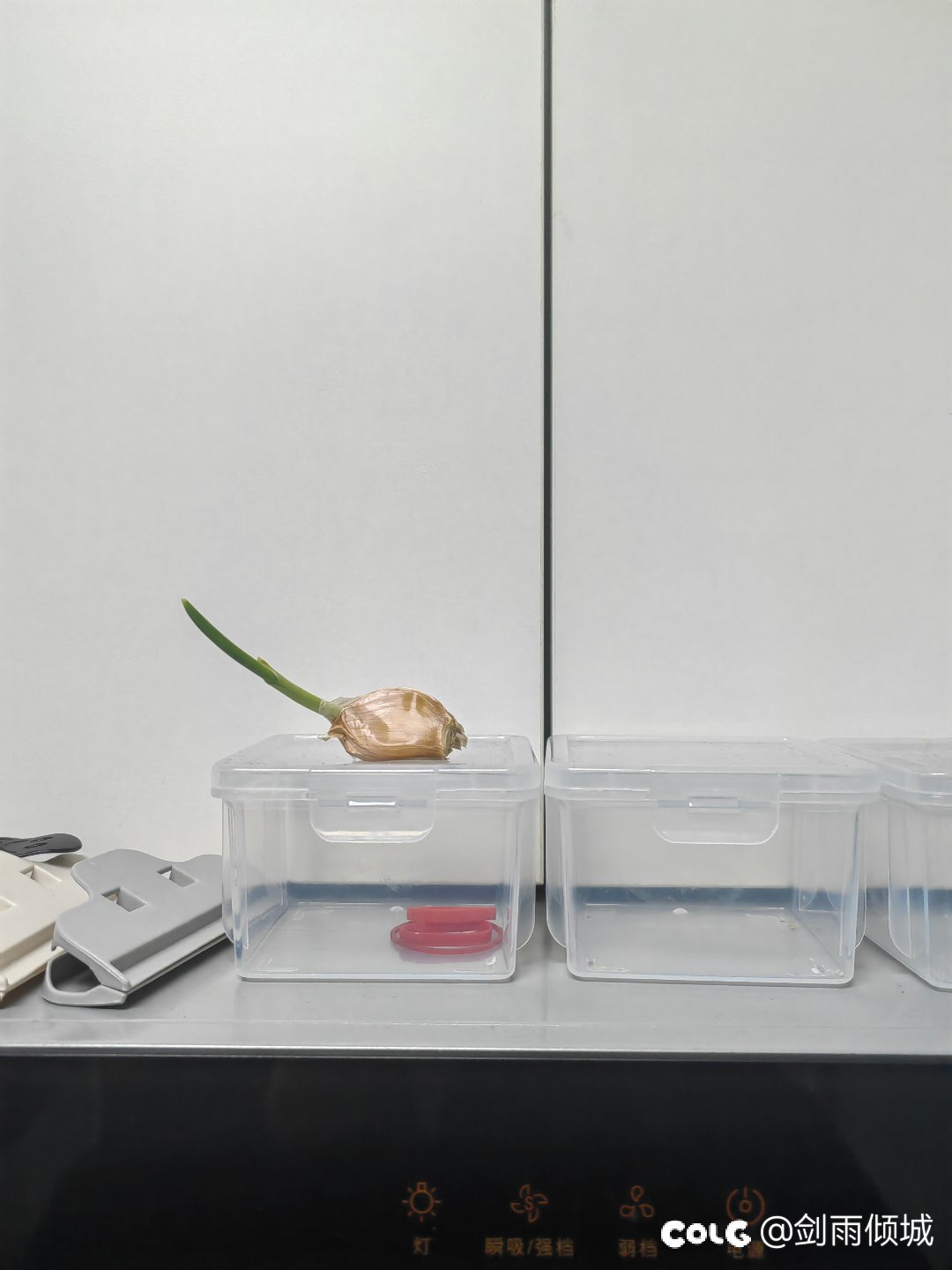 《一颗被遗忘的蒜》1