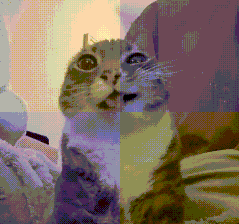 韩服啥时候上正式服1