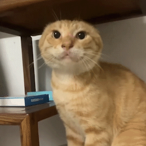 盘点短cd无敌技能，哪个更好用1